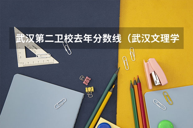 武汉第二卫校去年分数线(武汉文理学院护理专升本分数线)