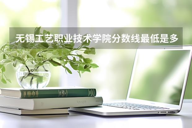 无锡工艺职业技术学院分数线最低是多少