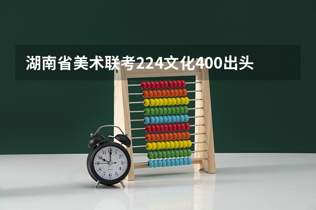 湖南省美术联考224文化400出头能上什么本科大学?