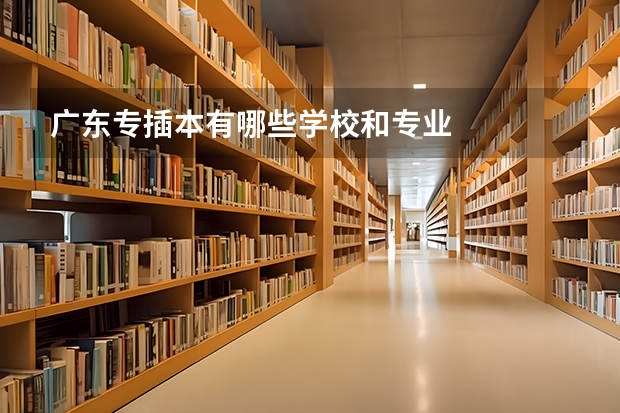 广东专插本有哪些学校和专业