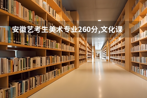 安徽艺考生美术专业260分,文化课460分能报什么大学