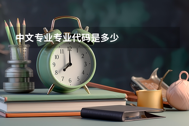 中文专业专业代码是多少