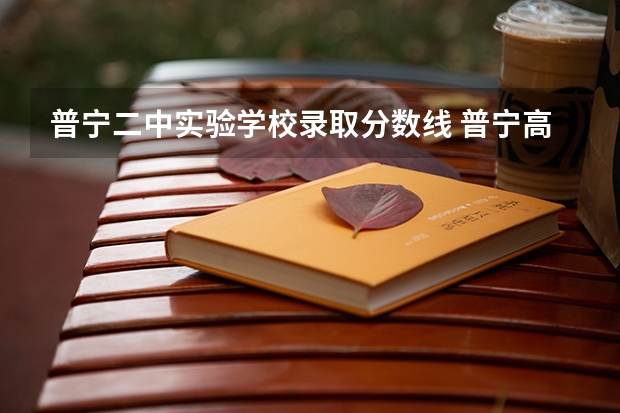 普宁二中实验学校录取分数线 普宁高中学校录取分数线