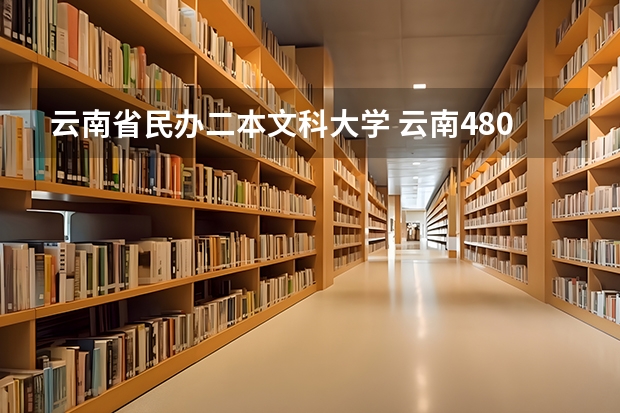云南省民办二本文科大学 云南480文科能上的二本大学