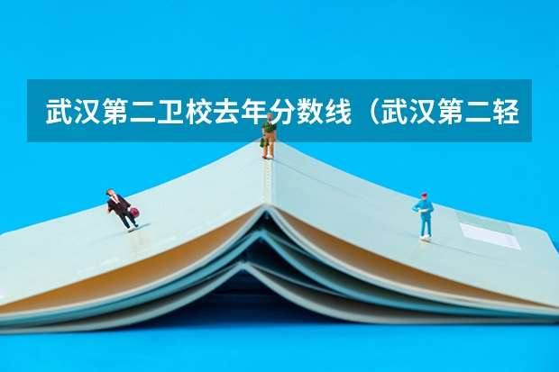 武汉第二卫校去年分数线(武汉第二轻工业学校录取分数线)