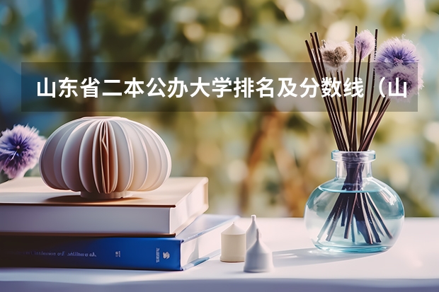 山东省二本公办大学排名及分数线（山东公办二本大学排名及分数线）