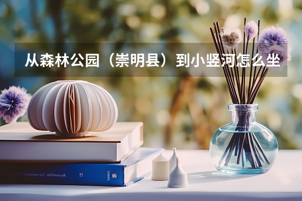 从森林公园(崇明县)到小竖河怎么坐公交车,最快需要