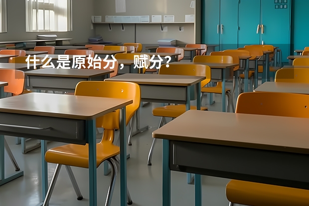 什么是原始分,赋分?