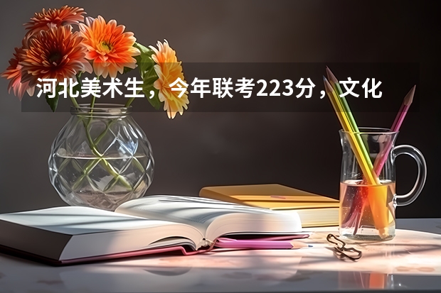 河北美术生,今年联考223分,文化400左右吧,你给建议一下上什么学校比较好?