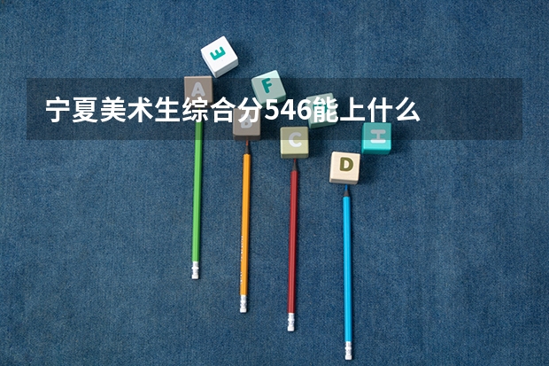 宁夏美术生综合分546能上什么