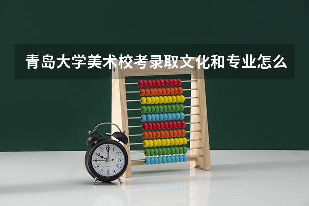 青岛大学美术校考录取文化和专业怎么计算