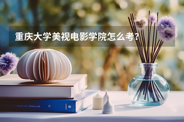 重庆大学美视电影学院怎么考?