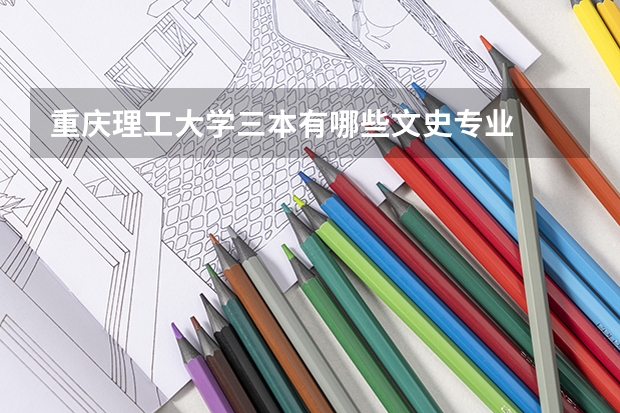 重庆理工大学三本有哪些文史专业