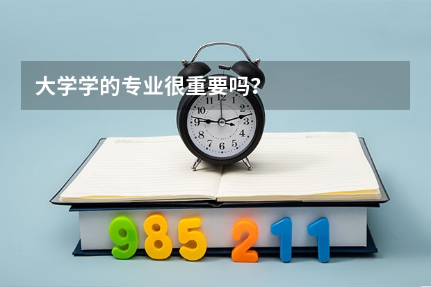 大学学的专业很重要吗？