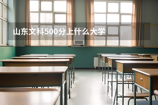 山东文科500分上什么大学