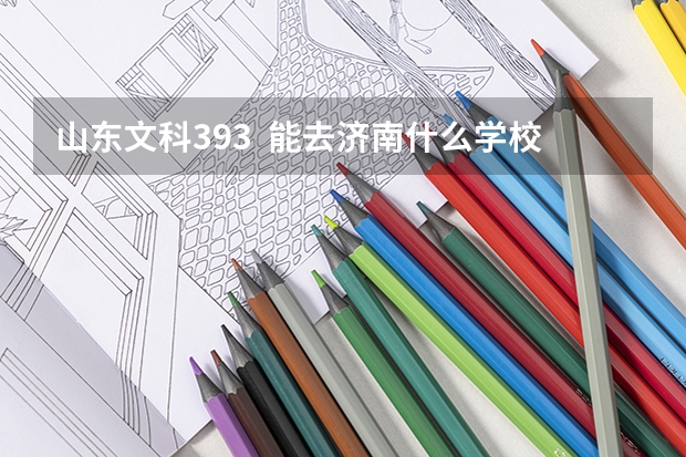 山东文科393  能去济南什么学校？？