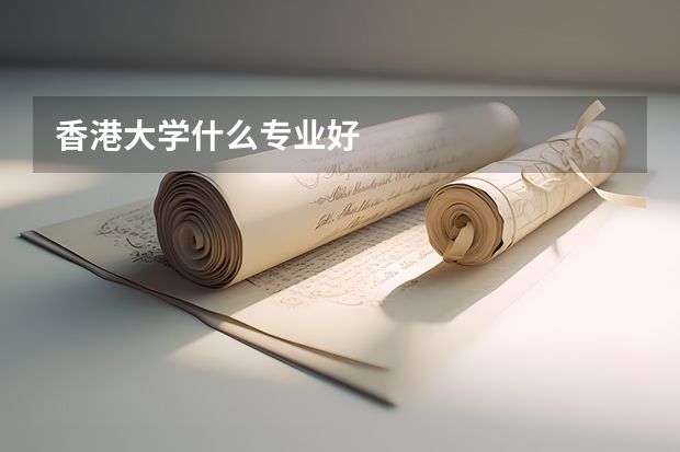 香港大学什么专业好