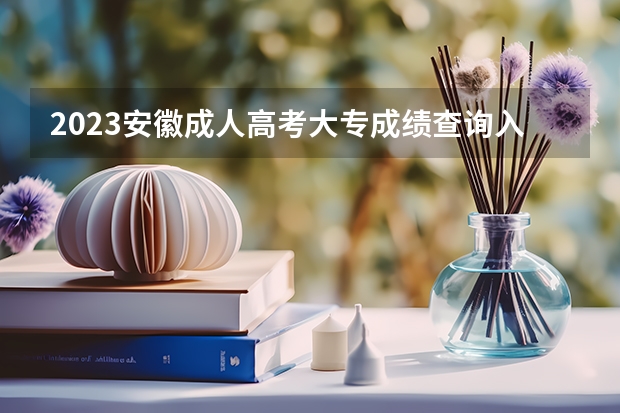 2023安徽成人高考大专成绩查询入口在哪里 查询方法是什么?