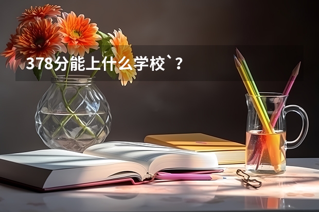 378分能上什么学校`?