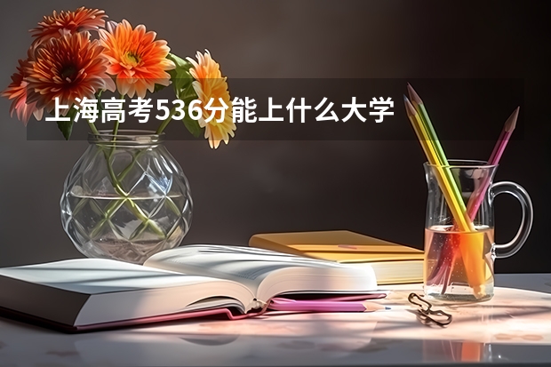 上海高考536分能上什么大学