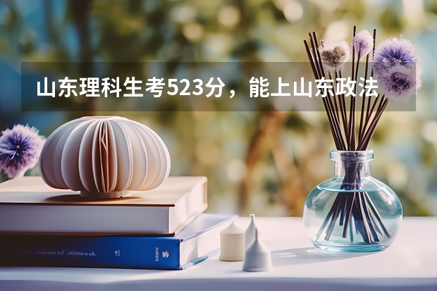 山东理科生考523分,能上山东政法学院的专科吗