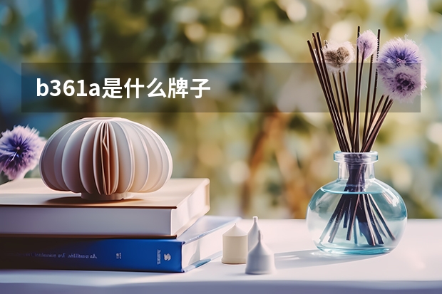 b361a是什么牌子
