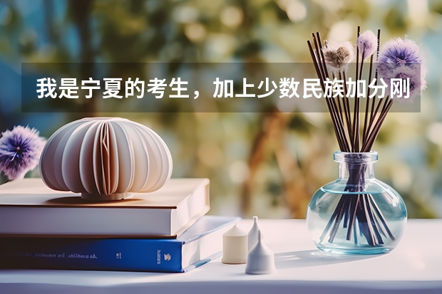 我是宁夏的考生,加上少数民族加分刚上二本,想去南方上学,应该去哪里啊?