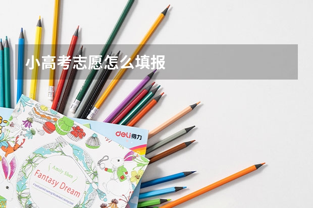 小高考志愿怎么填报
