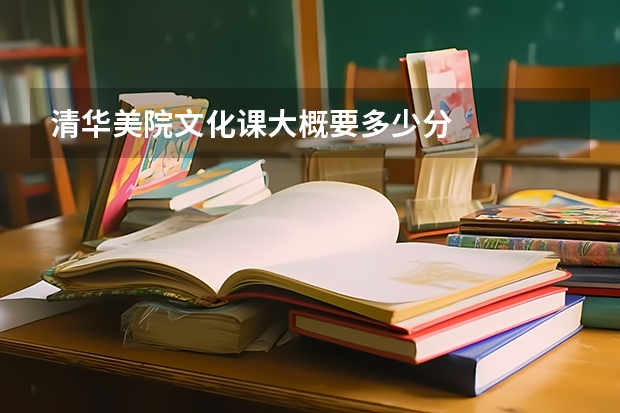清华美院文化课大概要多少分