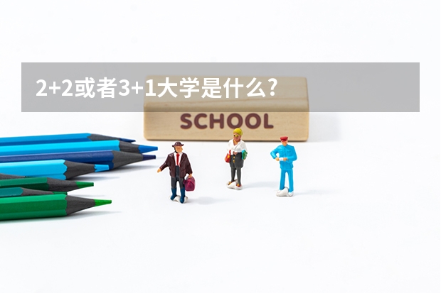 2+2或者3+1大学是什么?