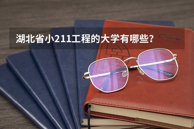 湖北省小211工程的大学有哪些？