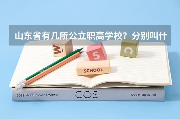 山东省有几所公立职高学校？分别叫什么名？