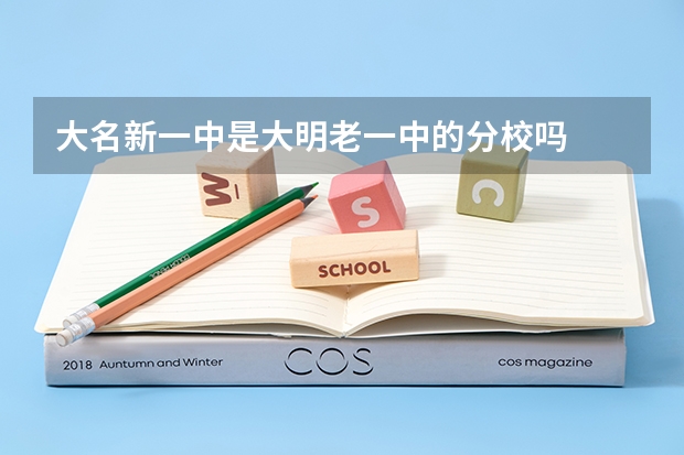 大名新一中是大明老一中的分校吗