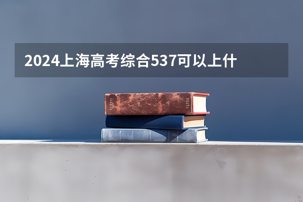 2024上海高考综合537可以上什么大学预测