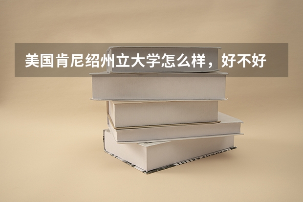 美国肯尼绍州立大学怎么样,好不好