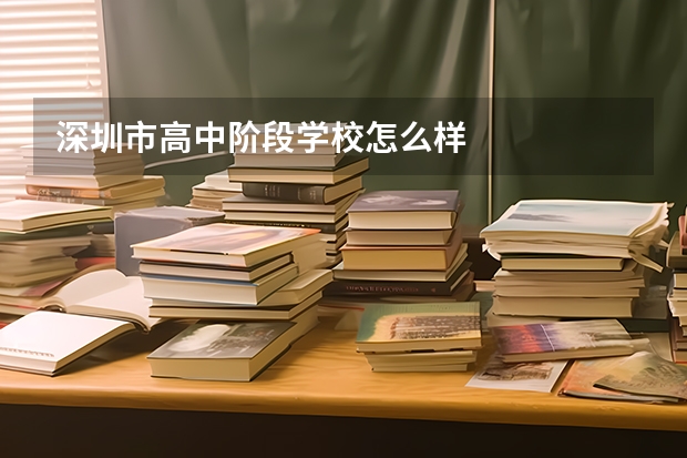 深圳市高中阶段学校怎么样