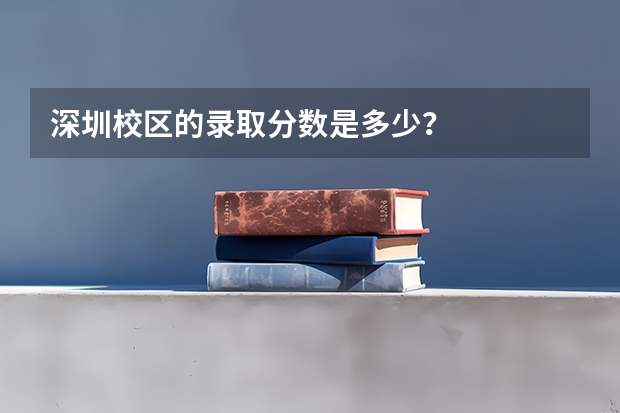深圳校区的录取分数是多少？