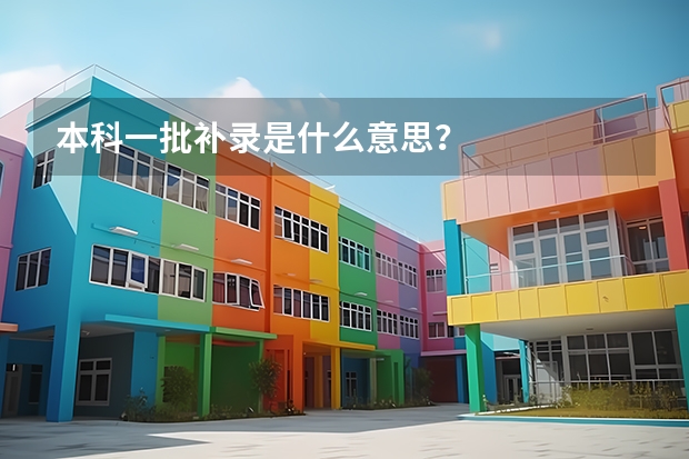 本科一批补录是什么意思?
