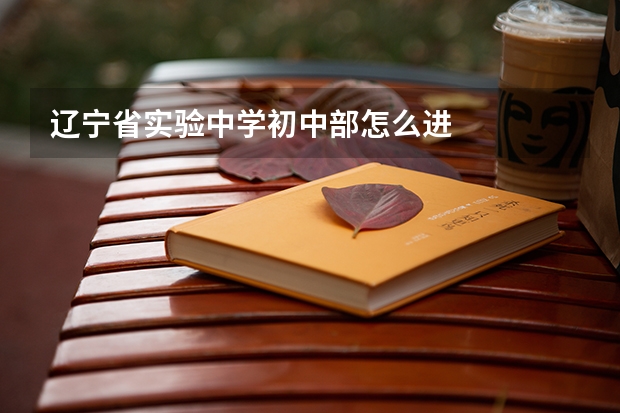 辽宁省实验中学初中部怎么进