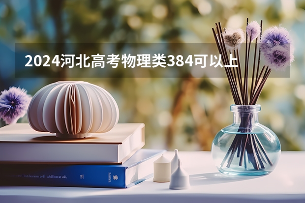 2024河北高考物理类384可以上什么大学预测