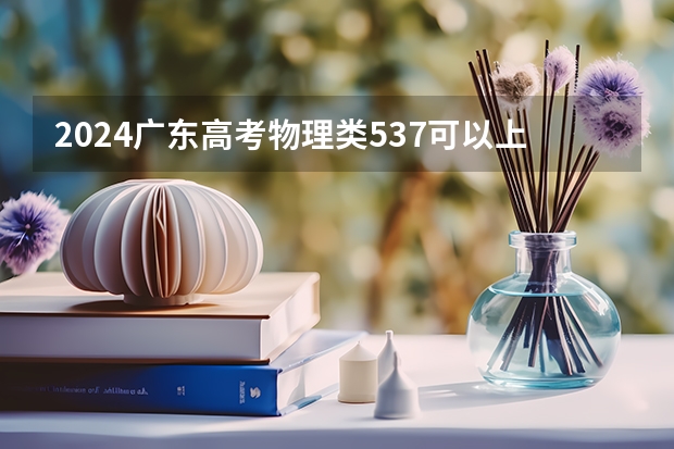 2024广东高考物理类537可以上什么大学预测