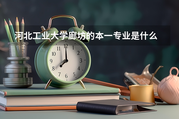 河北工业大学廊坊的本一专业是什么