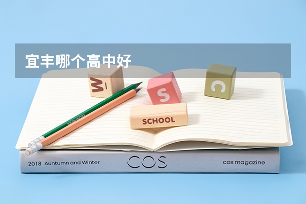 宜丰哪个高中好