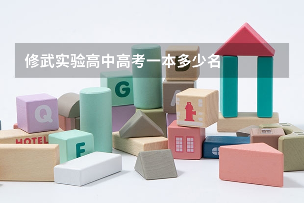 修武实验高中高考一本多少名