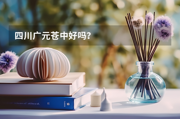 四川广元苍中好吗？