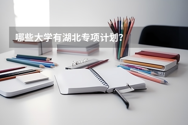 哪些大学有湖北专项计划？