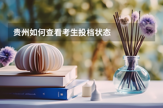 贵州如何查看考生投档状态