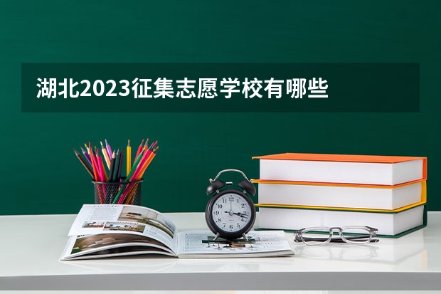 湖北2023征集志愿学校有哪些