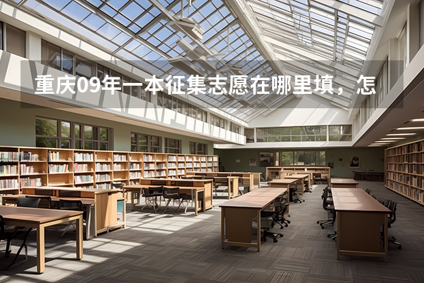 重庆09年一本征集志愿在哪里填,怎么网站上还没有啊?急!!