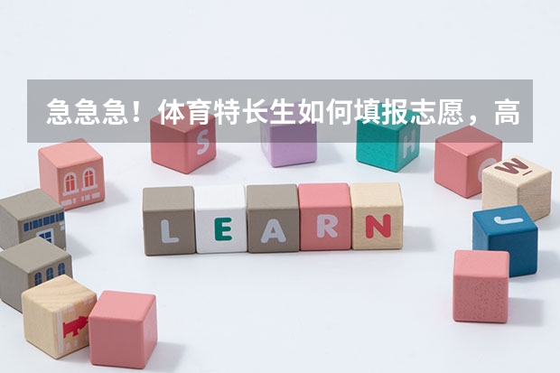 急急急!体育特长生如何填报志愿,高考加分政策?